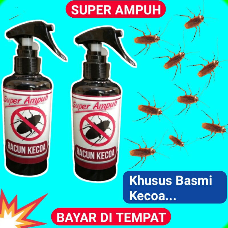 Jual RACUN PEMBASMI KECOA OBAT ANTI KECOA KECOAK PENGUSIR KECOA KECOAK