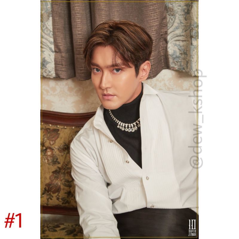 POSTER SUPER JUNIOR - The Renaissance #SIWON