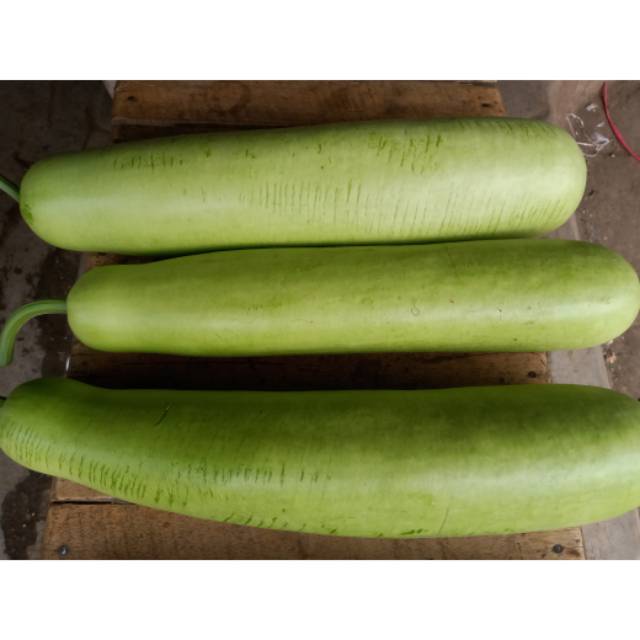 

Blonceng Sayur Bijian (kurang lebih 3 kg)