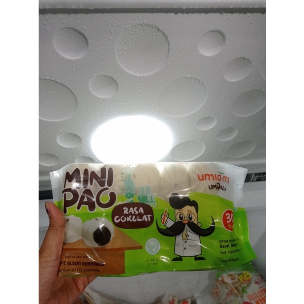 

Mini Pao