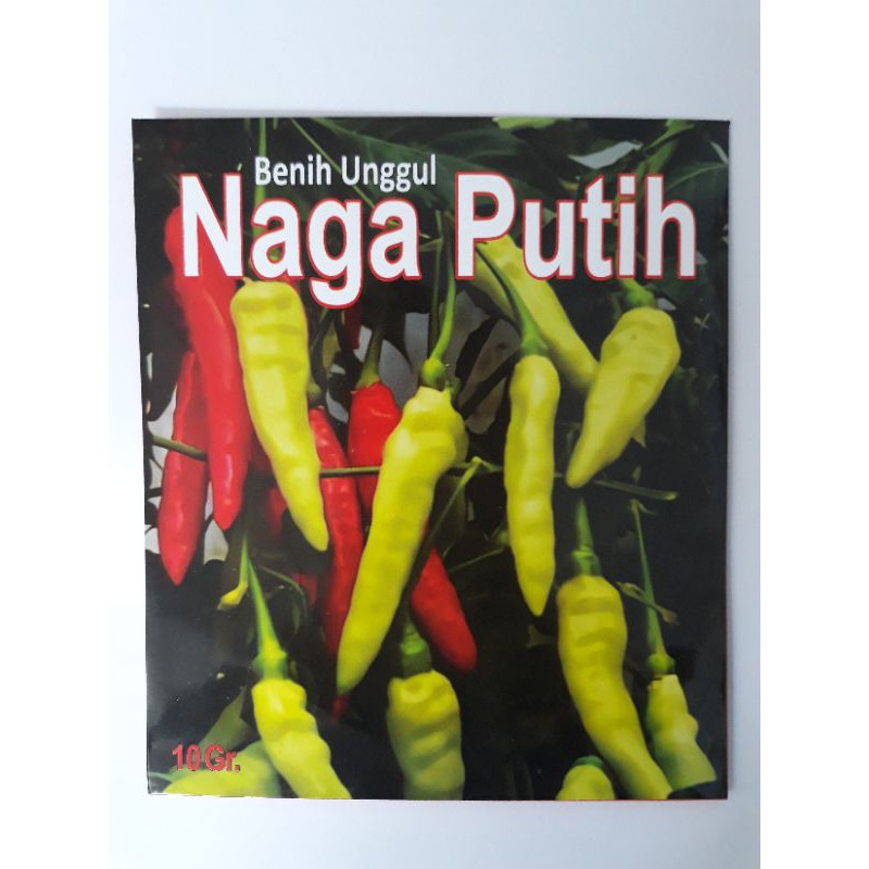 benih cabe rawit  putih unggul Naga Putih