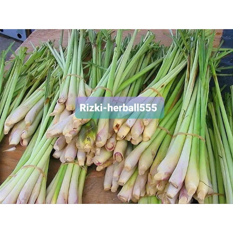 

jual serei sereh segar per 500 gram