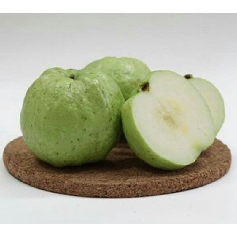 

Pastan _1 Kg Buah Jambu Kristal Segar Langsung Dari Kebun Sendiri