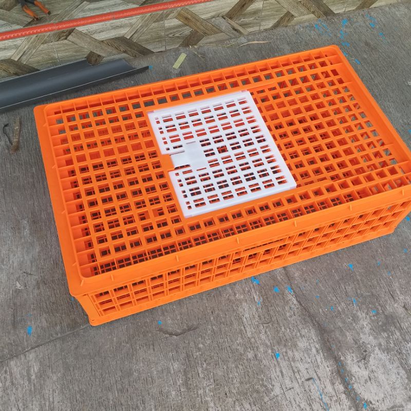 Keranjang ayam besar MERK MEDION ORI