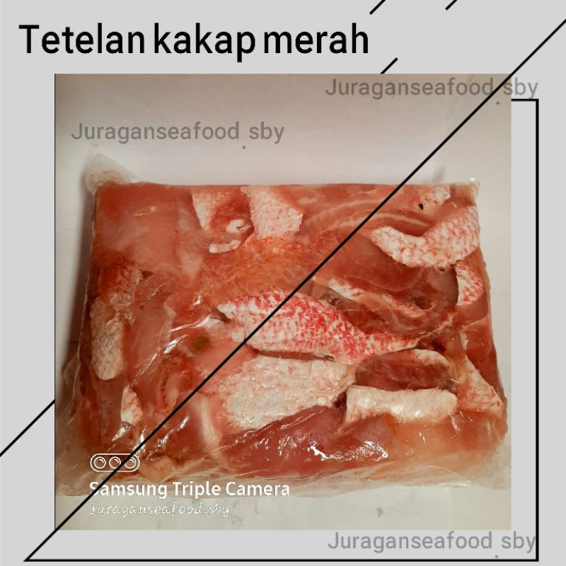 

tetelan kakap merah
