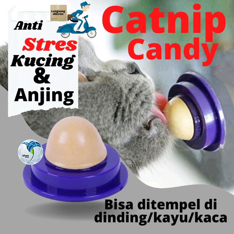 Catnip Candy Permen Kucing Vitamin Cemilan Camilan Catmint Snack Cat Nip