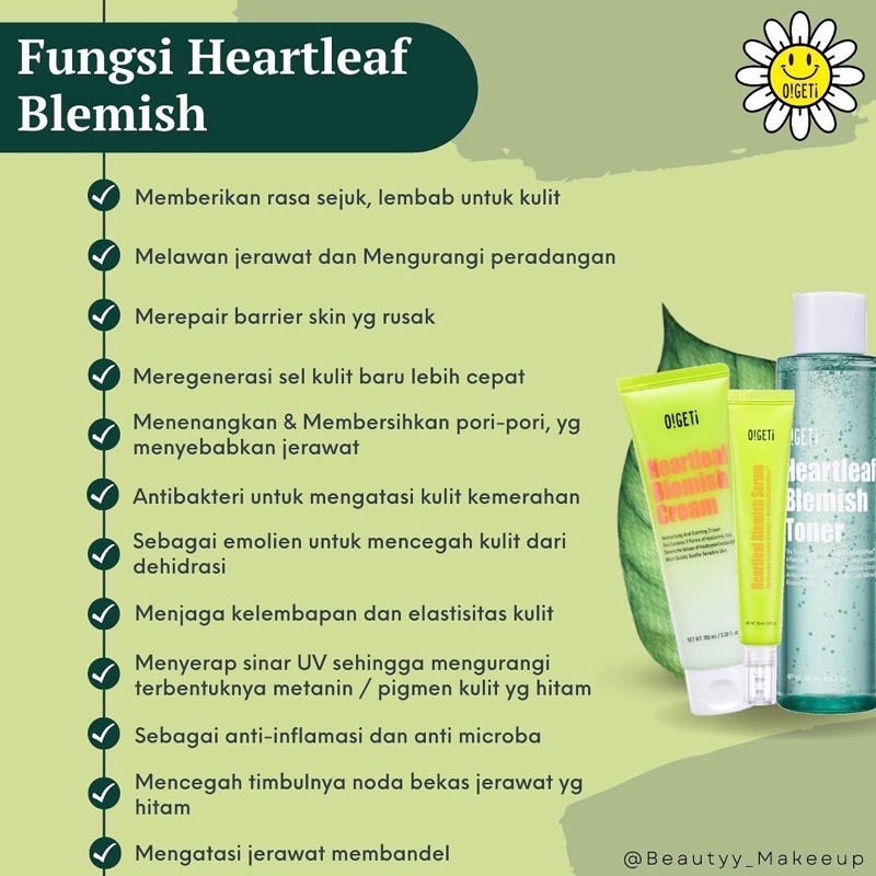 Ogeti Heartleaf Blemish |Toner|Serum|Cream