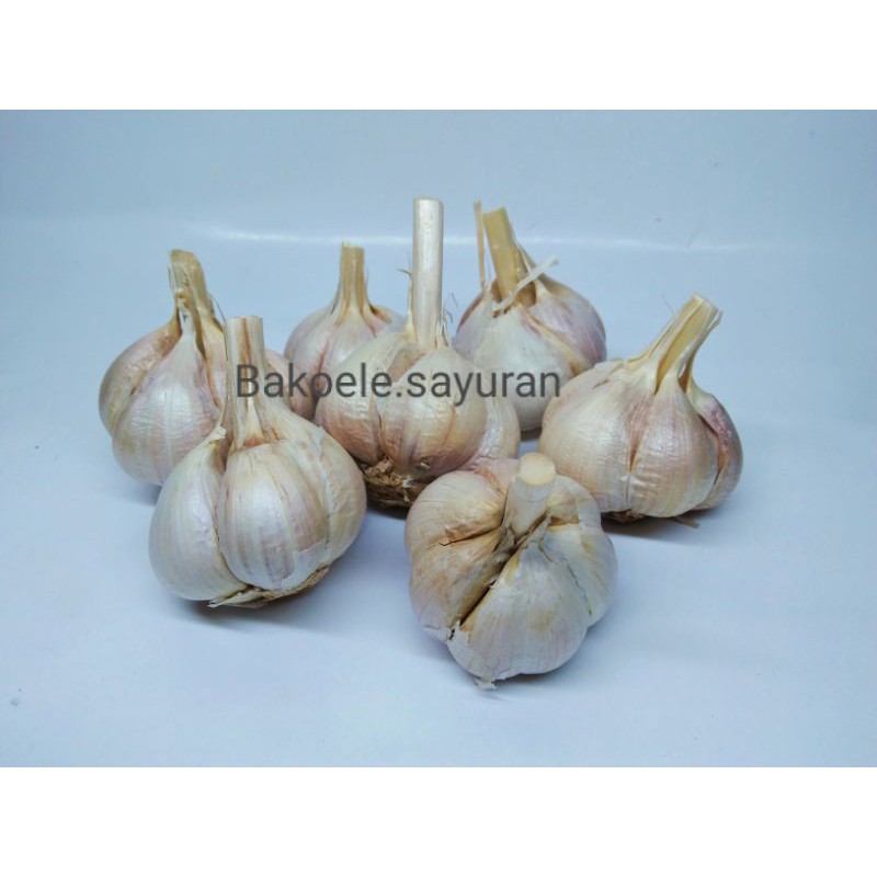 

BAWANG PUTIH KATING SAYURAN SEGAR EMPON EMPON BUMBU DAPUR