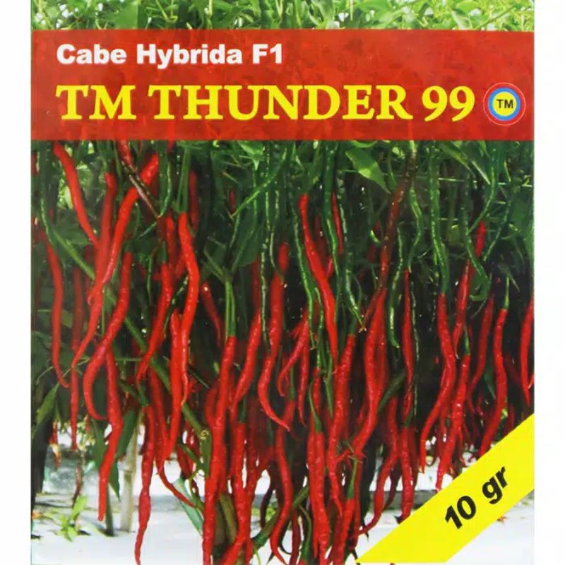 Benih Cabe Kriting TM THUNDER 99 Hibrida F1