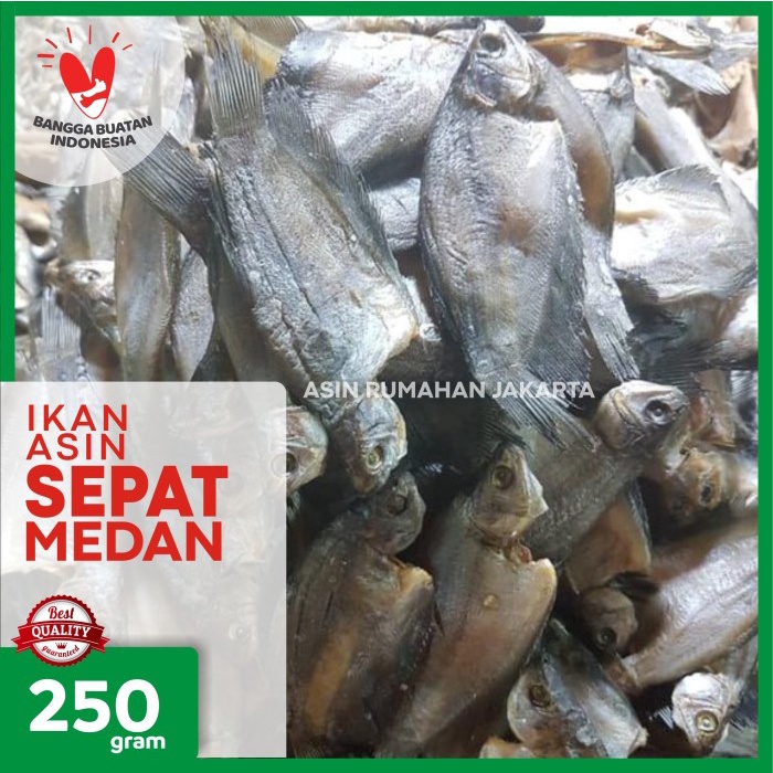 

PROMO Ikan Asin Sepat Medan 250 Gram / Ikan Sepat Medan Asin / Ikan Sepat