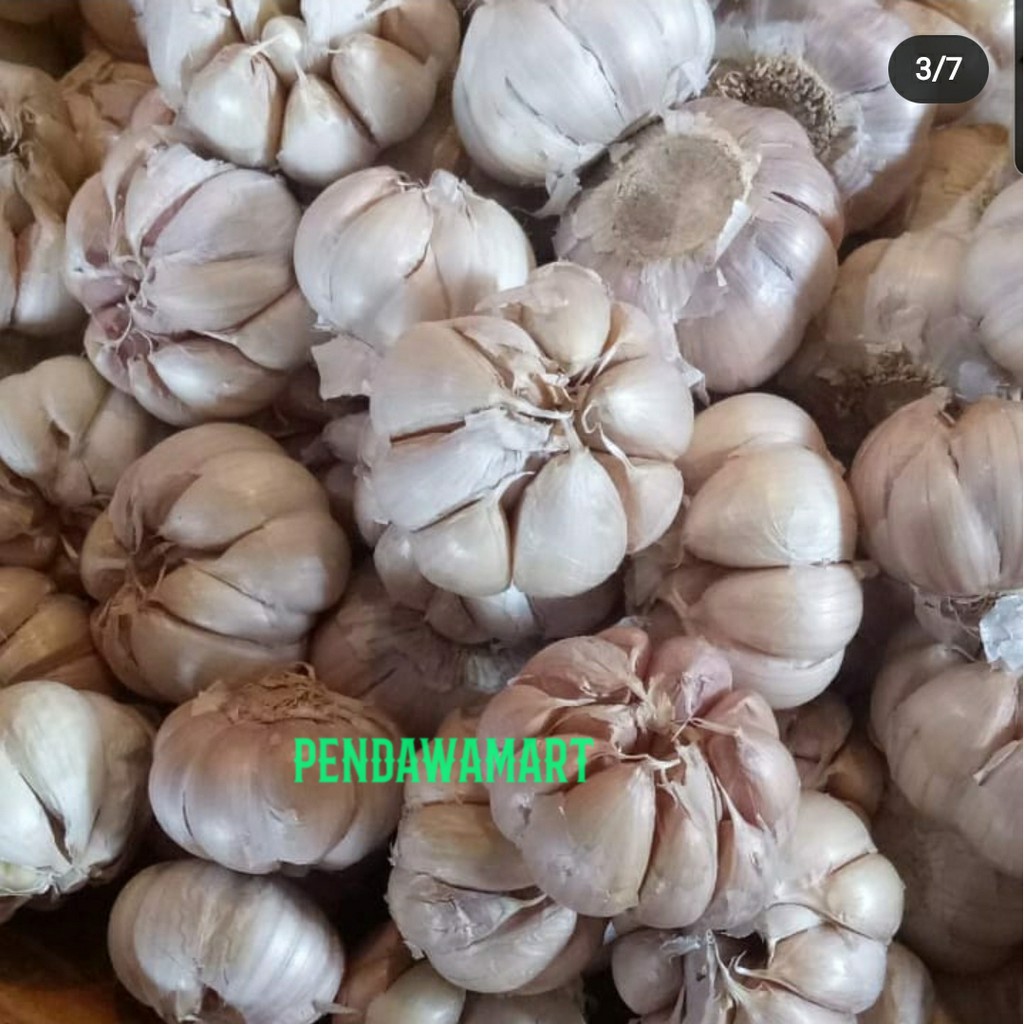

bawang putih