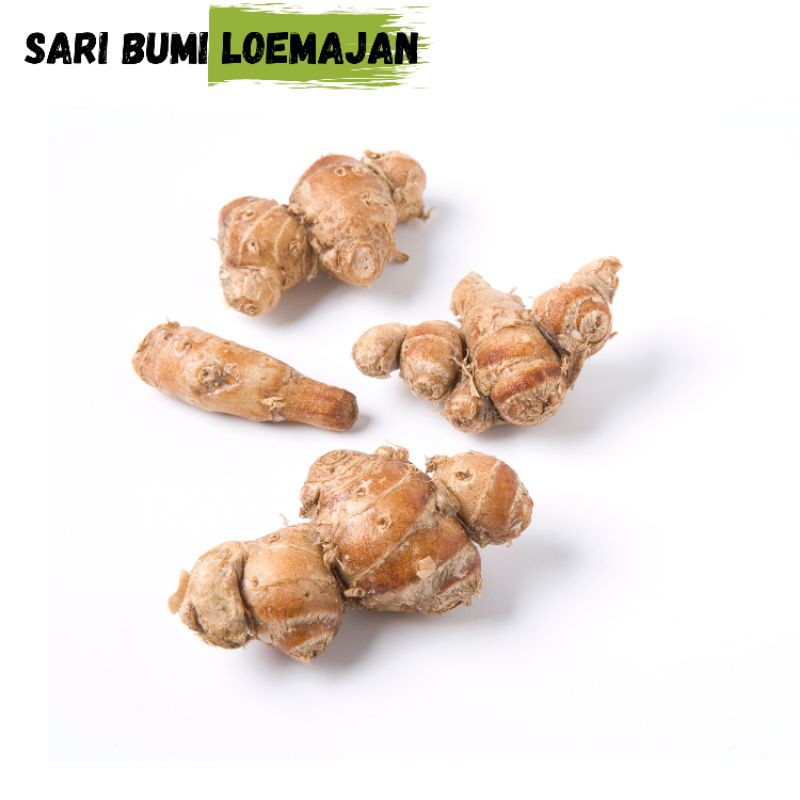 

Sari bumi loemajan kencur 500 gram