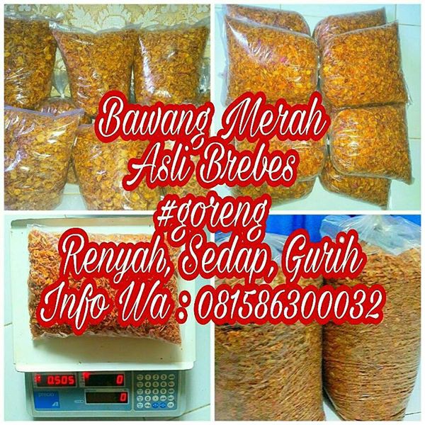 

bawang merah kering