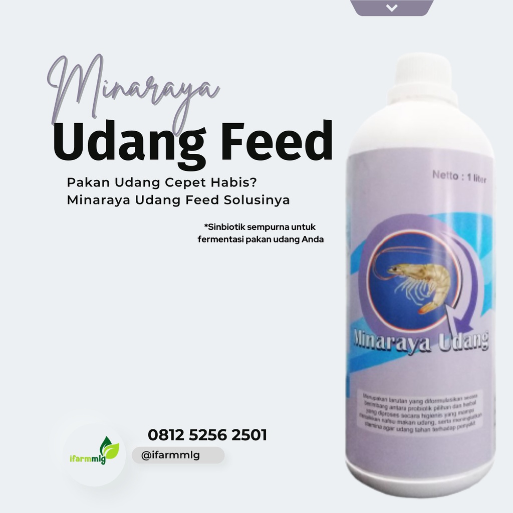 Minaraya Udang Feed 1 L – Probiotik Udang – Probiotik Udang Hasil Maksimal – Probiotik Udang Kerdil 