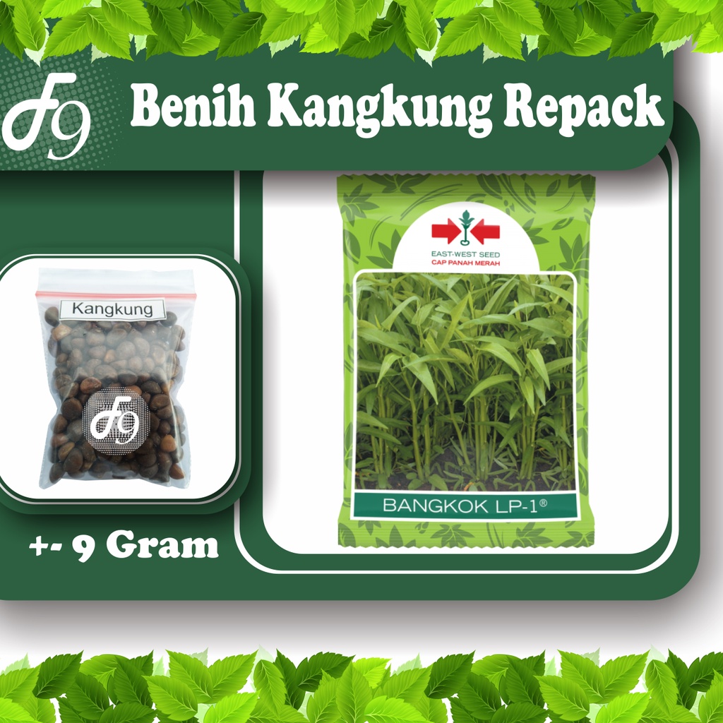 Benih Kangkung Bibit Kangkung Murah Repack Seribuan