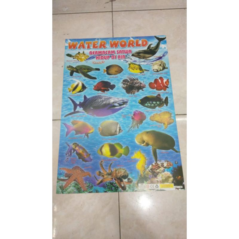 Poster aneka HEWAN LAUT