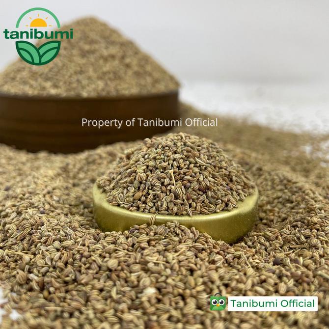 

PROMO Ajwain Seed | 100g | Carom Seed | Mungsi | Ketumbar Mungsi | Jemuju MURAH