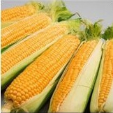 

jagung manis kulit 1kg