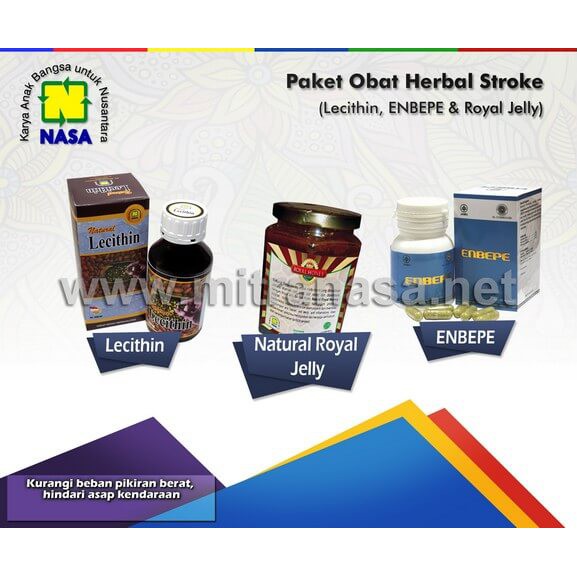 Paket Obat Herbal Stroke NASA Manjur