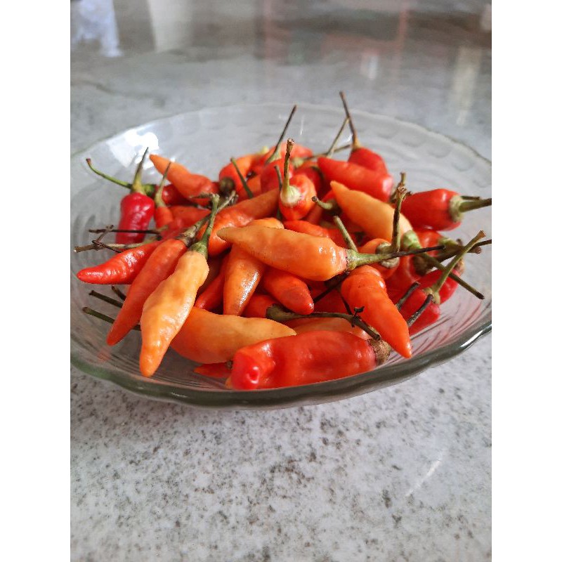 

cabe rawit merah 100g