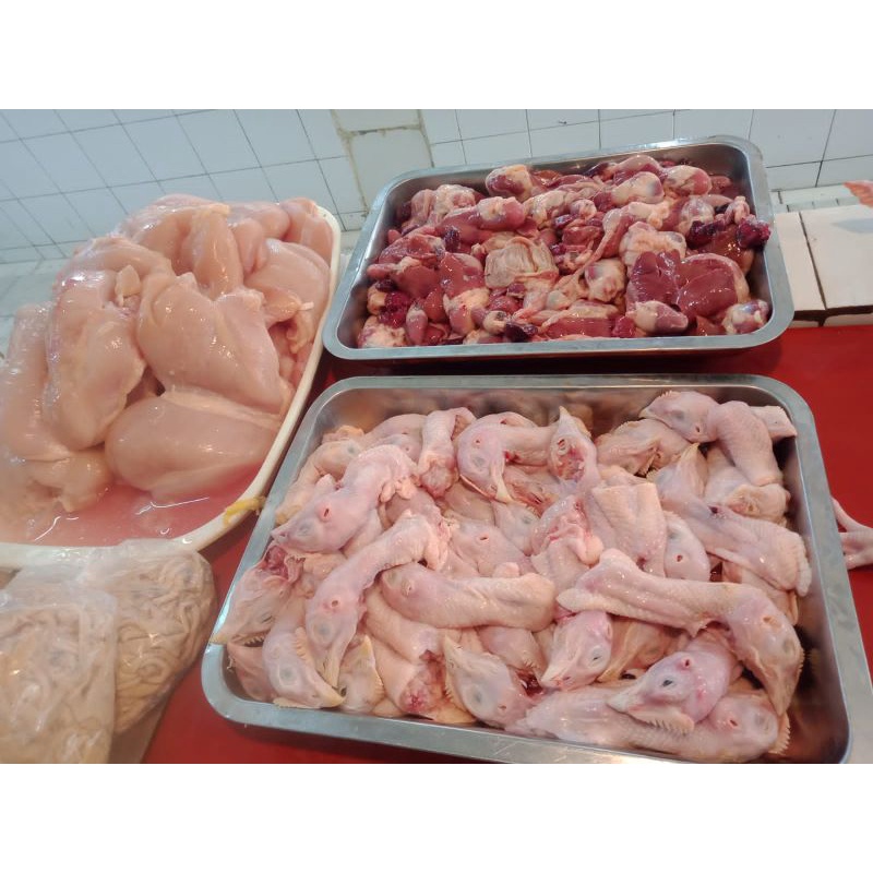 

dada ayam filet