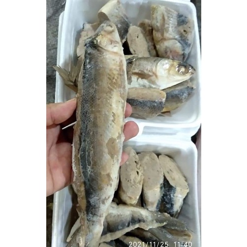 

otak-otak bandeng frozen isi 2