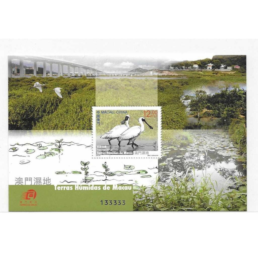 

Souvenir Sheet Perangko Macau Wetlands Frog Dragonfly 2015