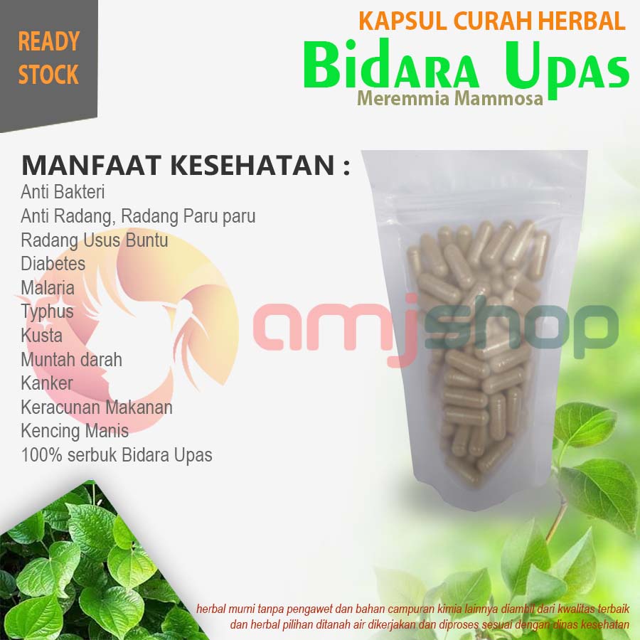 

KAPSUL CURAH HERBAL BIDARA UPAS