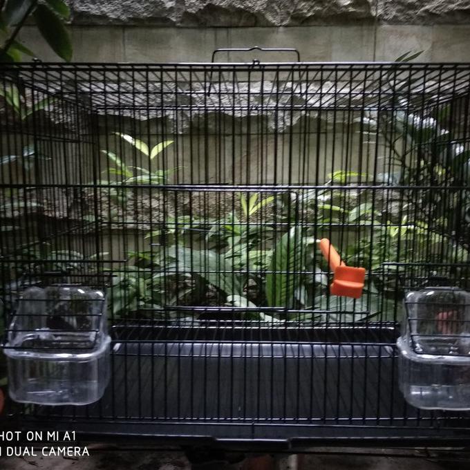 Kandang burung Finch / Emprit / Pipit / Kenari - warna HITAM
