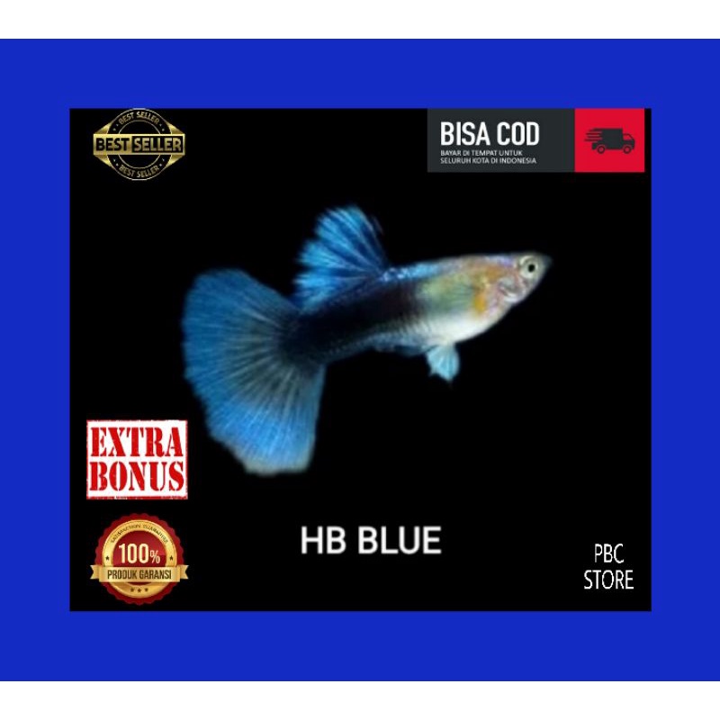 Hiasan Akuarium ikan guppy HB BLUE Sepasang