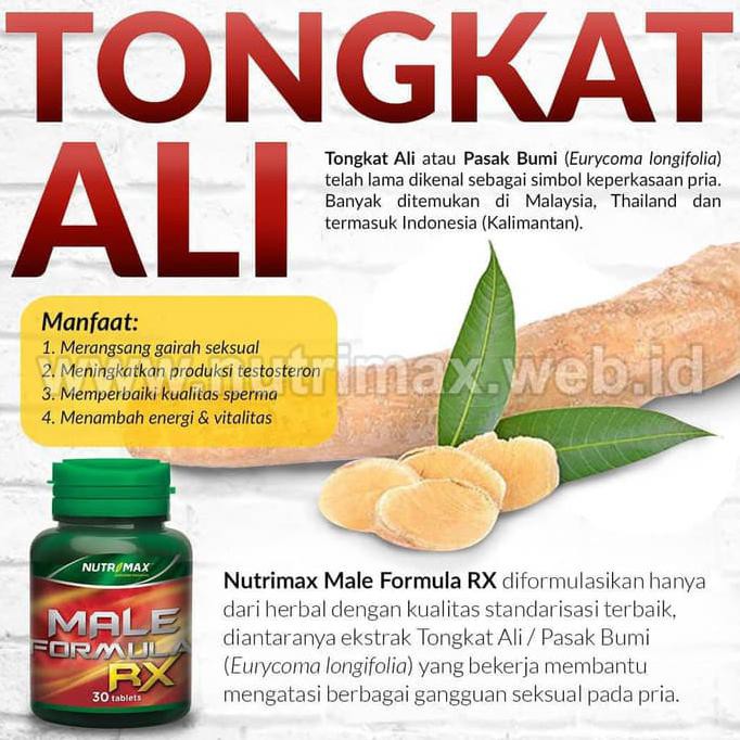 864U675-A Nutrimax Male Formula Rx Obat Herbal Untuk Kuat Pria/Lelaki Perkasa