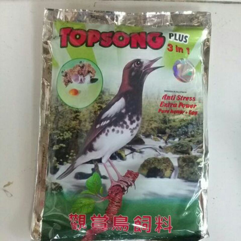Topsong