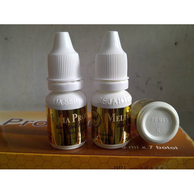 Obat Herbal Maag Kronis Dan Asam Lambung Akut Herbal Propolis Melia Shopee Indonesia