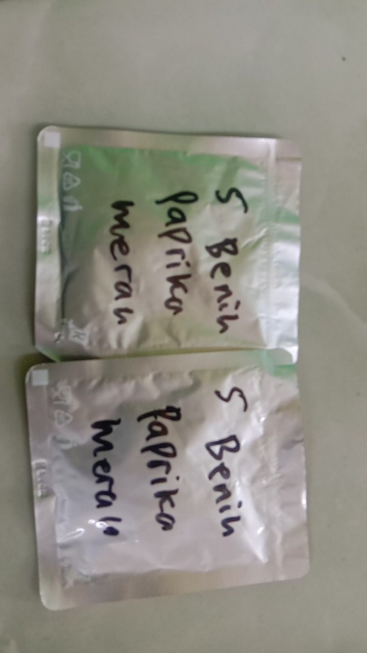 5 Biji Benih Paprika Merah