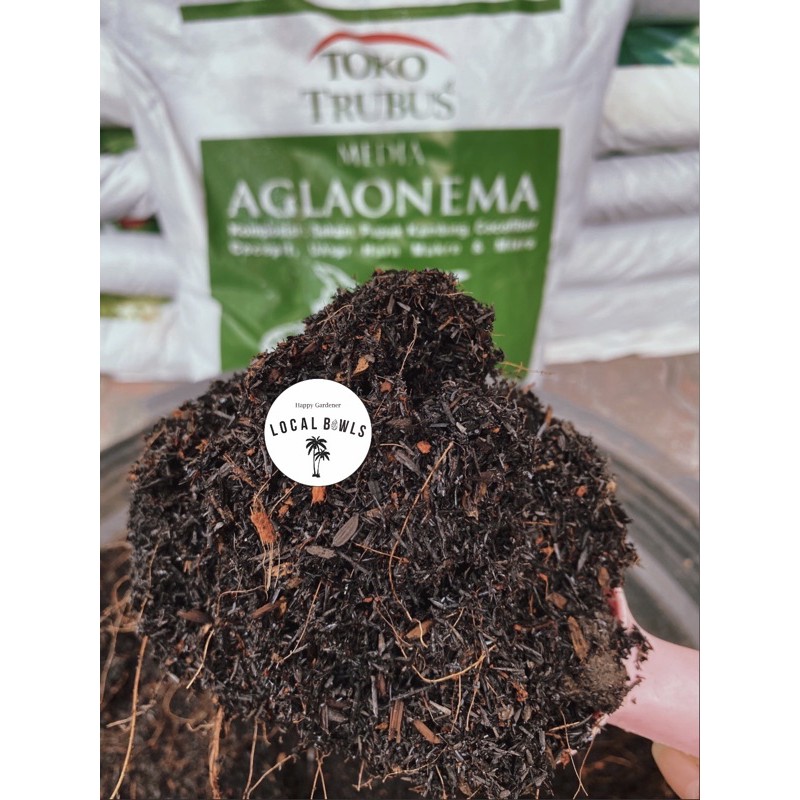 media tanam aglonema trubus 500gr
