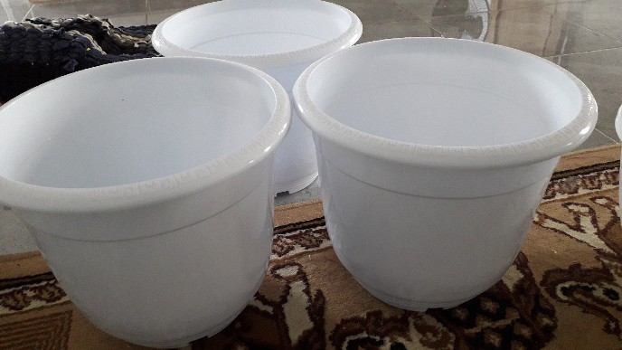 Pot madu 25 pot motif tawon pagoda 25 Shopee Indonesia Pot madu 25 pot motif tawon pagoda 25 Shopee Indonesia