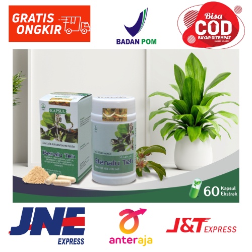 

BENALU TEH membantu mengobati kanker. Benjolan tumor. kista. miom. resmi BPOM jaminan ORIGINAL