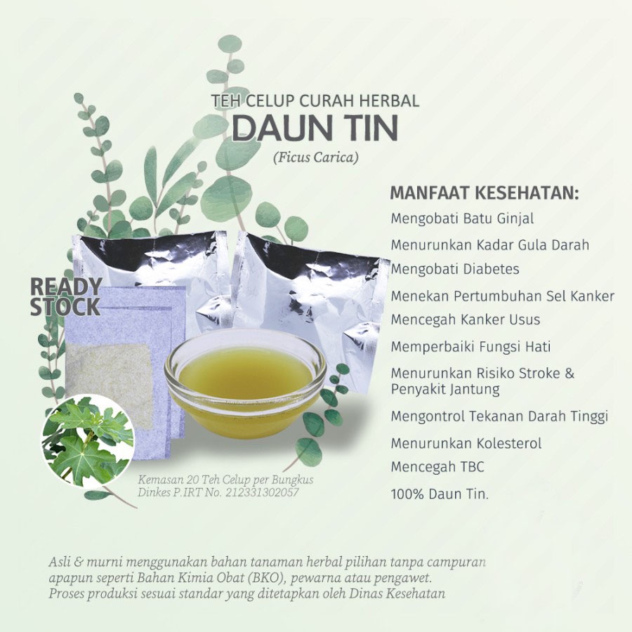 

Teh Celup Herbal DAUN TIN (Ficus Carica, Ara) untuk Batu Ginjal, Imunitas, Detoksifikasi Racun, dan Diabetes