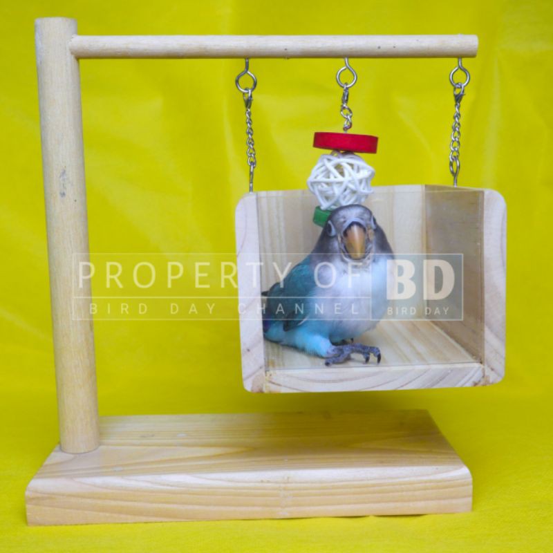 Mainan Ayunan Box Kaca Burung Parrot, Lovebird, Parkit, Parotlet, Monk, Cockatiel dll