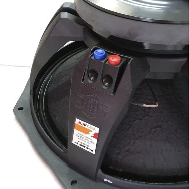 Speaker ACR Fabulous 18 inch PA 113186 SW