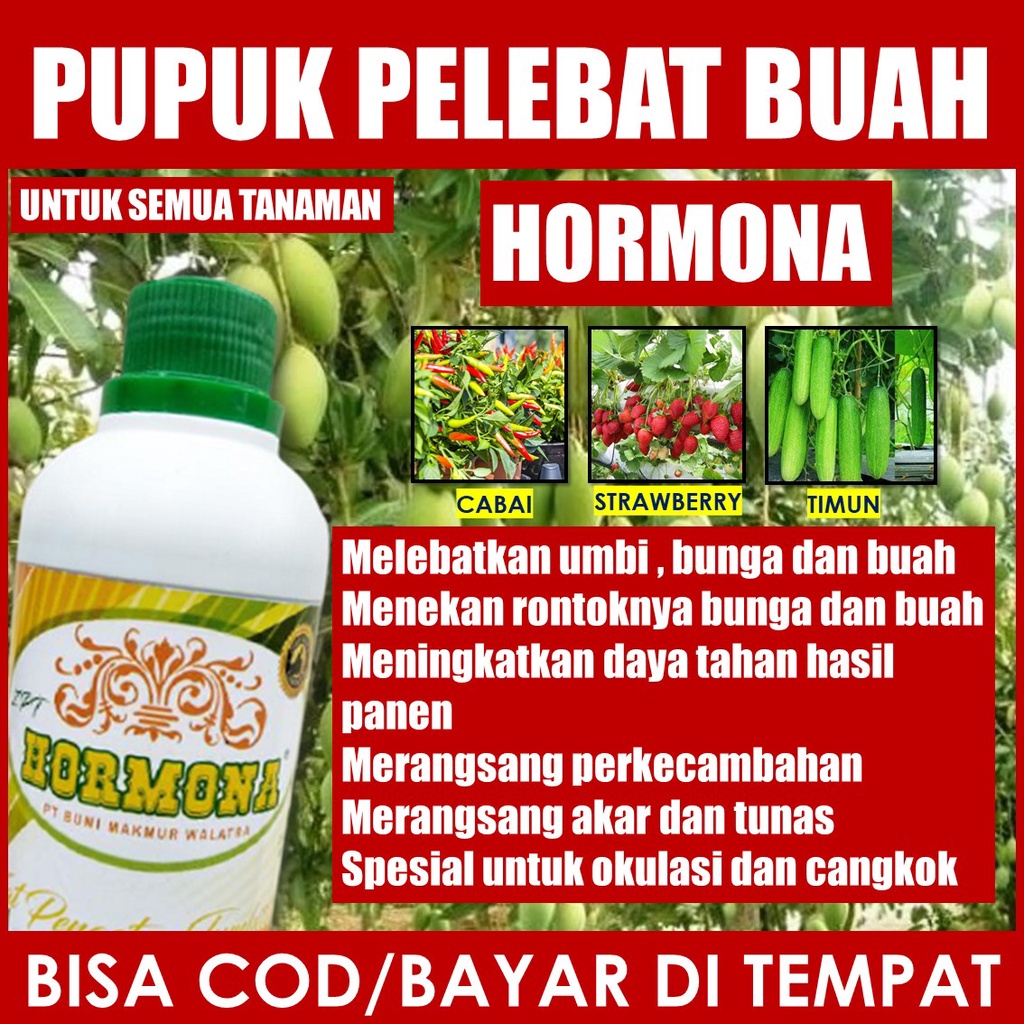 Jual Pupuk Organik S   emprot HORMONA Pelebat Buah Antri Rontok Tanaman