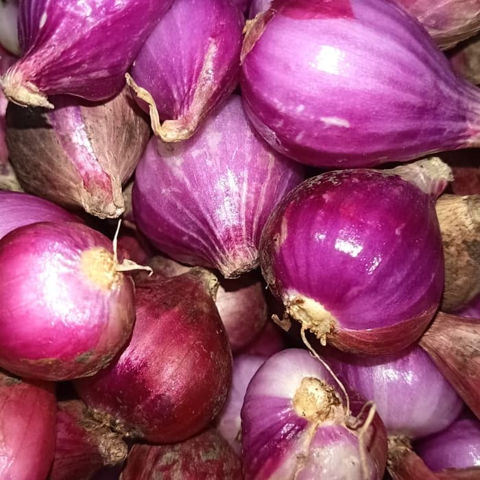 

promo bawang merah super pilihahn gede2/khusus hari ajh pake gojek