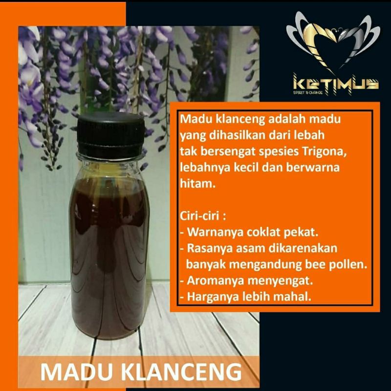 

madu klanceng