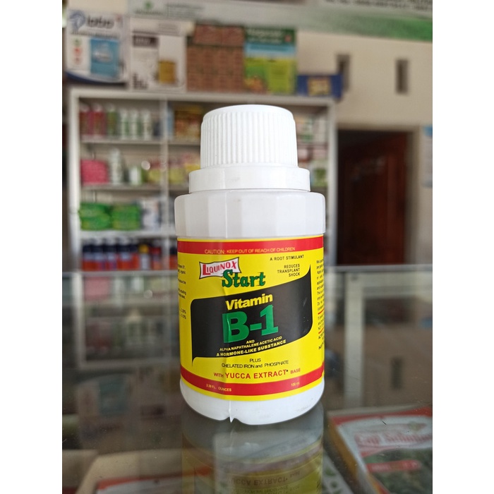 LIQUINOX START VITAMIN B1 Hormon Tanaman ZPT