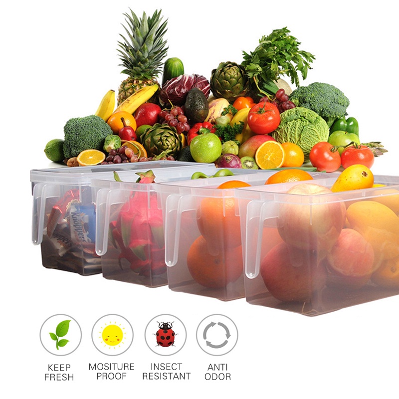Refrigerator Fresh Food Container / Kitchen Transparent Plastic Dumplings Vegetable Egg Storage Box With Lid For Kitchen
