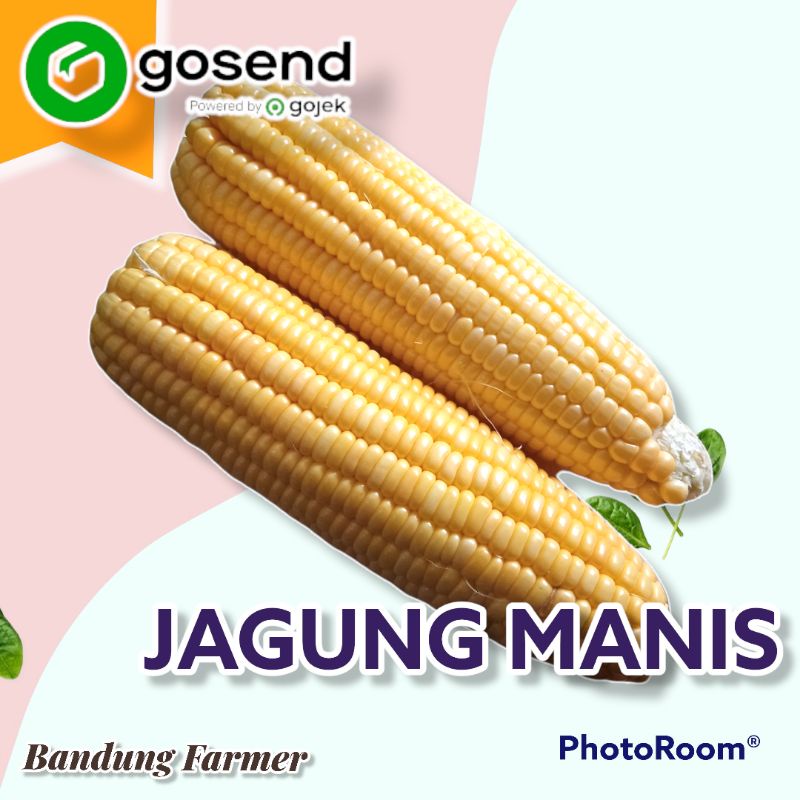 

jagung manis kupas 1 kg
