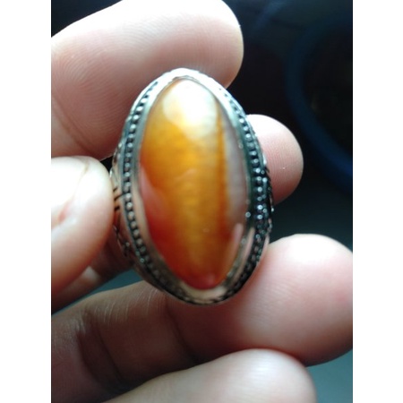 PANDAN NANAS MINI SUPER ASLI NO 88876