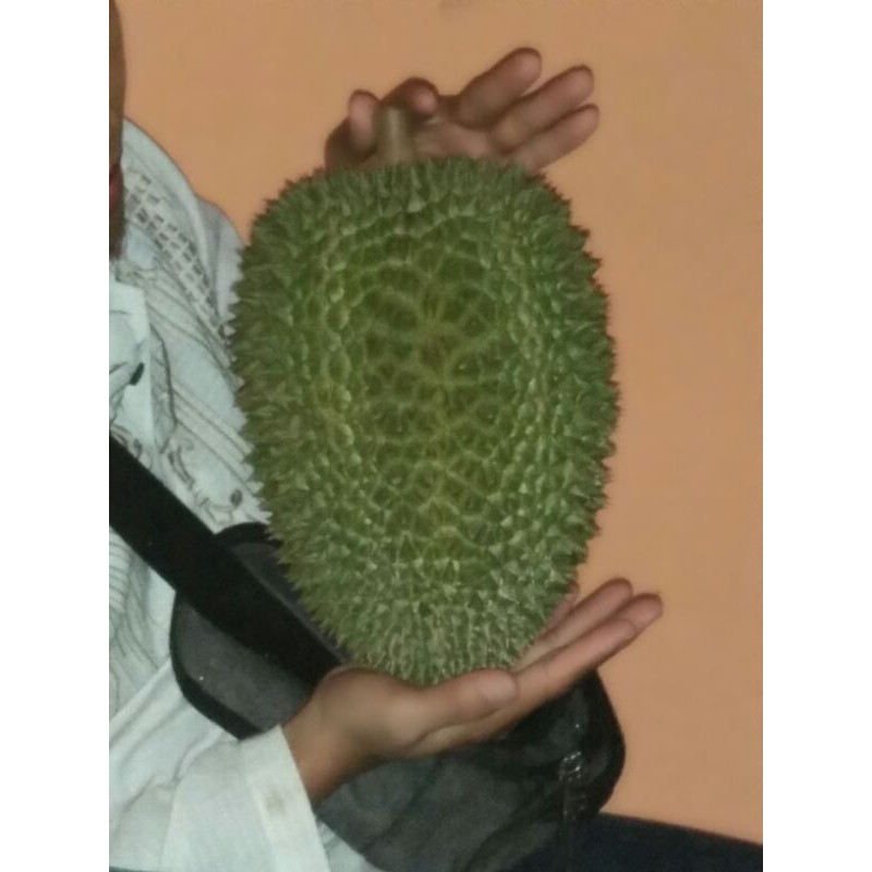 

Durian Wongso