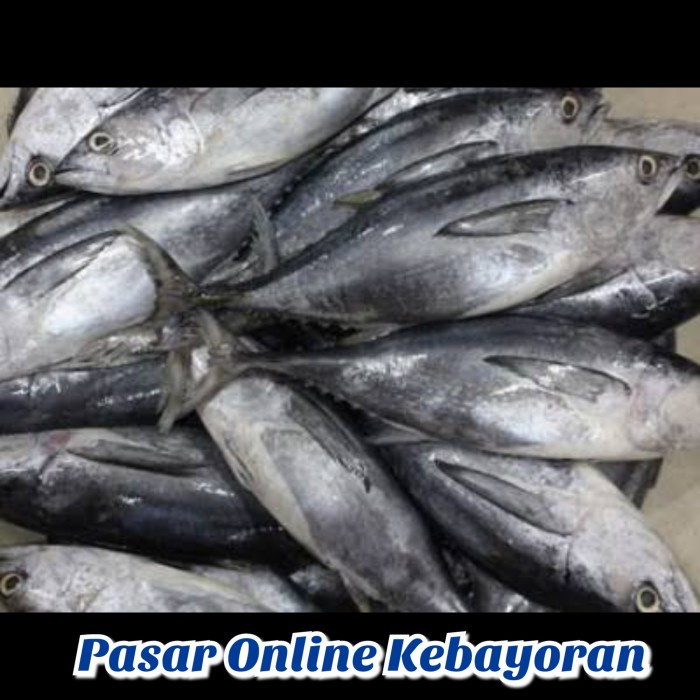 

Ikan Tongkol Cakalang Segar - 1 Kg