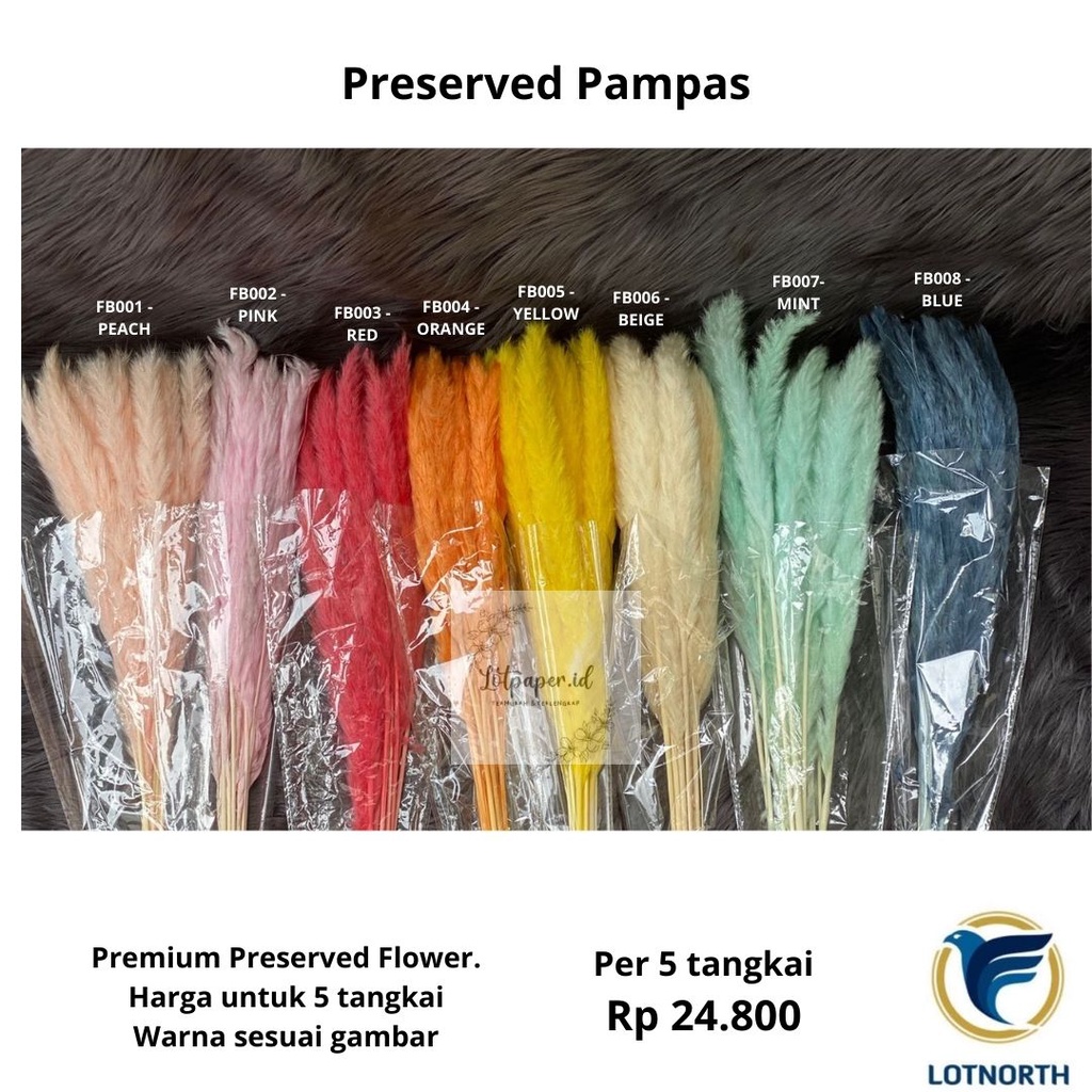 Pampas Dried Grass Import / Rumput Pampas / Preserved Pampas